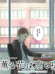小镇厨房美食综艺在线观看